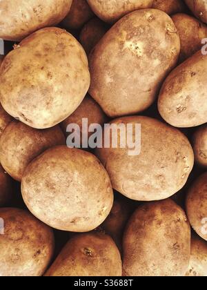 Vista ravvicinata delle patate terrose rustiche, sporche dal suolo. Riempire il telaio con verdure fresche e biologiche. Cibo di base sfondo. Foto Stock