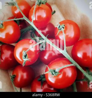 Una fotografia ravvicinata di un mazzo di pomodori ciliegia freschi biologici sulla vite in un esterno di cartone. Foto Stock