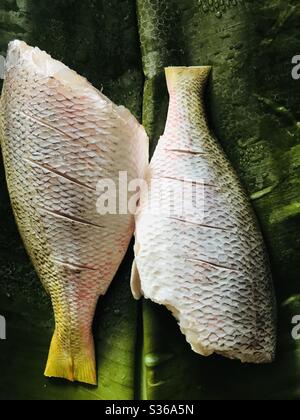 Pesce giallo crudo coda pulito e messo in foglia di banana prima di cucinare- punto 1 Foto Stock