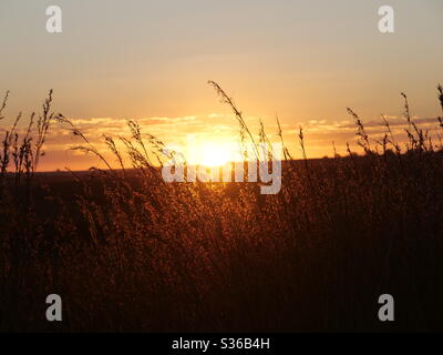 Sole pomeridiano in alta velatura in Sud Africa Foto Stock