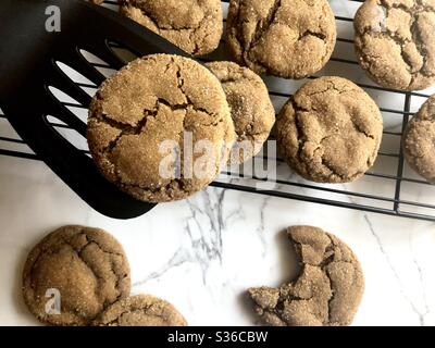 I cookie di melassa Foto Stock