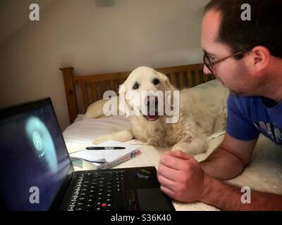 Lavorare da casa. Uomo sdraiato su un letto con un computer portatile e una penna e carta. Un cane da retriever dorato si trova accanto a lui. Foto Stock