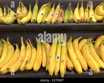 Banane in un supermercato nel Regno Unito Foto Stock