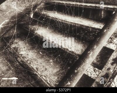 Spiderweb su una ringhiera per scale Foto Stock