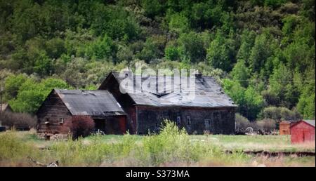 Storico, Dunbow scuola industriale, Alberta, Canada, vecchio, decadimento, crollo, abbandonato, inutilizzato, 1885 a 1920, Foto Stock