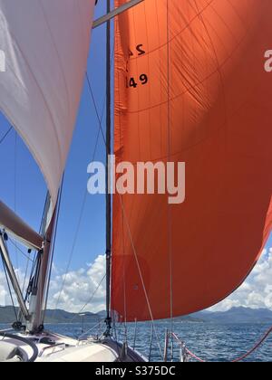 Vela sotto spinnaker a Port Shelter, Hong Kong. Foto Stock