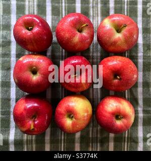 9 mele in un quadrato, su un asciugamano verde Foto Stock