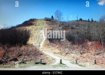 Sentiero escursionistico, Edworthy Park, Calgary, Alberta Foto Stock