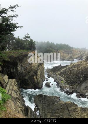 Costa rocciosa presso lo Shore Acres state Park in Oregon, Stati Uniti. Foto Stock