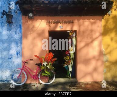 Il mio fiorista locale ad Antigua, Guatemala Foto Stock