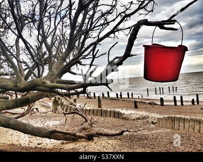 Secchio di plastica appeso da un ramo di un albero su una spiaggia a causa dell'erosione costiera, Bawdsey, Suffolk, Regno Unito. Foto Stock