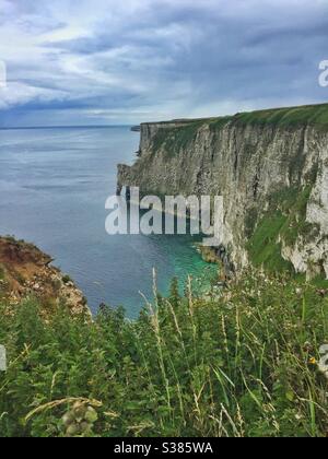 Una vista delle scogliere di Bempton sulla costa dello Yorkshire orientale nel Regno Unito Foto Stock