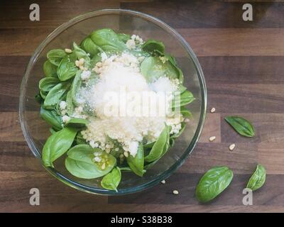 Preparare pesto di basilico fresco; pesto ingredienti in un recipiente di vetro Foto Stock