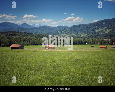 Vista sui verdi prati alpini con le Alpi bavaresi e austriache sullo sfondo. Foto Stock