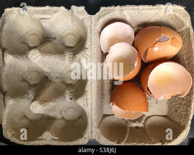 Svuotare le gusci d'uovo in una scatola d'uovo. Foto Stock
