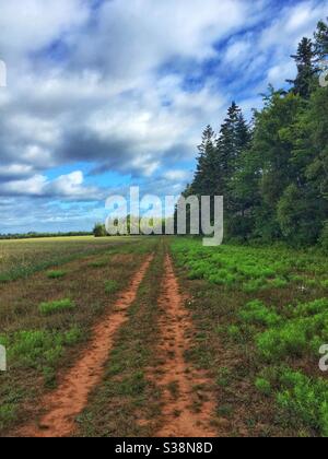 Strada sterrata di argilla lungo i campi di fattoria nella rurale Isola del Principe Edoardo, Canada. Foto Stock