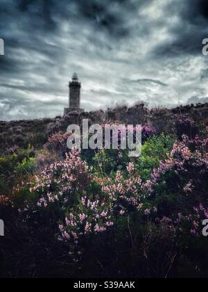 Erpici di fronte alla Torre del Giubileo (il Rocket) Su Darwen Moor sopra Blackburn in Lancashire Foto Stock