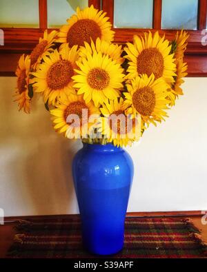 Bouquet di girasoli giallo brillante in un vaso di vetro blu. Foto Stock