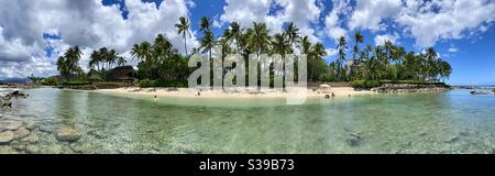 Hawai’i Beach Panorama con sabbia bianca e palme sull’isola di Oahu. Foto Stock
