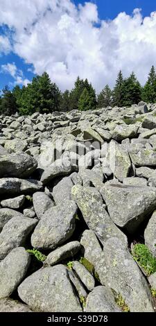 Paesaggi rocciosi sulla montagna Vitosha vicino Sofia, Bulgaria. Foto Stock