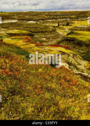 Viaggiare Alberta, Horseshoe canyon, Drumheller, Alberta, badlands, colori autunnali, autunno Foto Stock