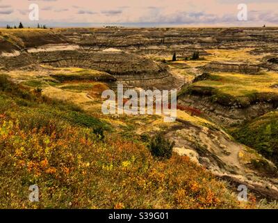 Viaggiare Alberta, Horseshoe canyon, Drumheller, Alberta, badlands, colori autunnali, autunno Foto Stock