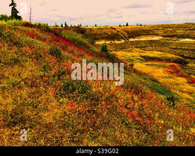 Viaggiare Alberta, Horseshoe canyon, Drumheller, Alberta, badlands, colori autunnali, autunno Foto Stock