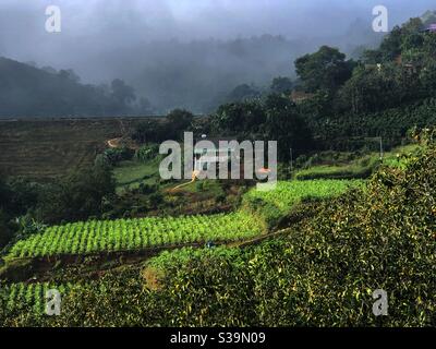 Una mattina foggy nella città di montagna da Lat Foto Stock