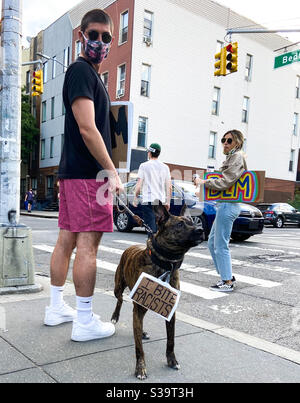 Un uomo che indossa una maschera facciale cammina il suo cane con un cartello intorno al collo che recita: "Mordino i razzisti" a Williamsburg, New York, il 7 giugno 2020. Foto Stock