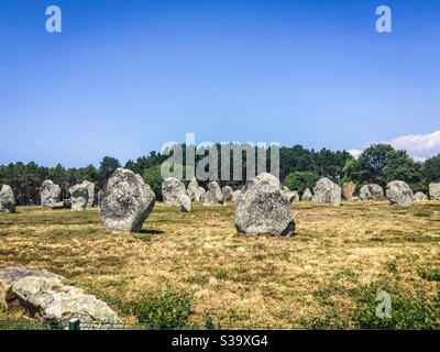 Pietre in piedi a Carnac, Bretagna, Francia Foto Stock