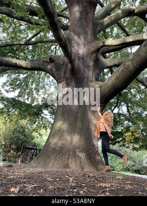 Donna che tocca un grande albero di quercia nel Parco di Dulwich Foto Stock