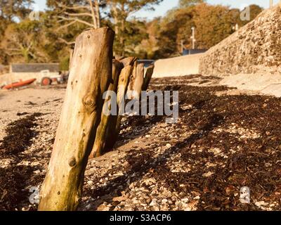 Oggetti in legno sulla spiaggia di Loe Foto Stock