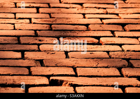 Sfondo chiaro Foto Stock