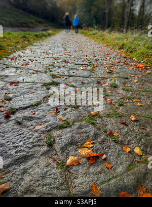 Wet Stone percorso a Rivington coperto in foglie d'autunno con camminatori in distanza Foto Stock