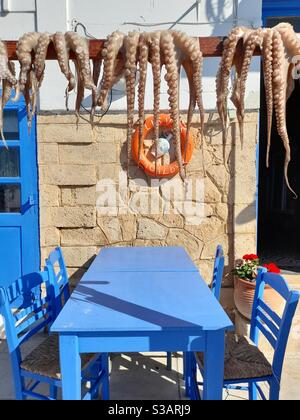 Tradizionale taverna greca con polpo che si asciuga sotto il sole, adagiato su vivaci sedie blu e un rustico muro di pietra nell'isola di Egina, Grecia, Europa Foto Stock