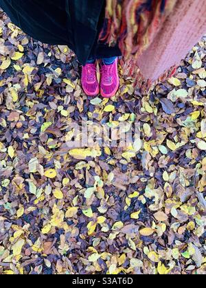 In piedi in foglie di autunno Foto Stock
