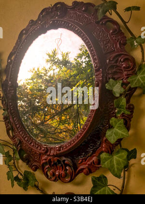 alberi con foglie di autunno giallo riflesse in specchio ovale antica cornice tra foglie d'edera Foto Stock