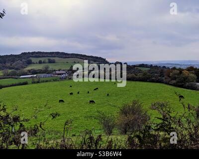 Clent Hills, Worcestershire, Inghilterra Foto Stock