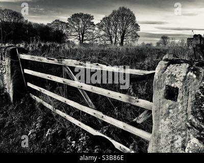 Immagine in bianco e nero scuro di un vecchio cancello, con filo spinato lungo la cima, North Yorkshire UK con una linea di alberi dietro Foto Stock