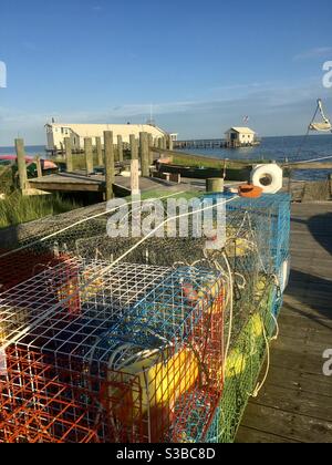 Vasi di granchio colorati lungo il molo sulla Chesapeake Bay. Foto Stock