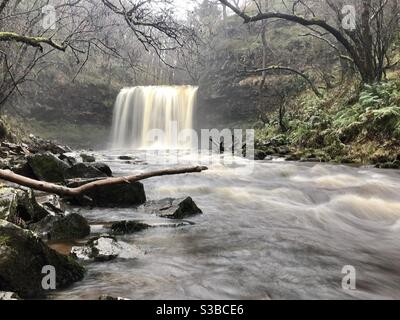 Sgwd yr Eira (Cascate di neve) , vale di Neath, Ytradfellte, dopo pioggia pesante, novembre. Foto Stock