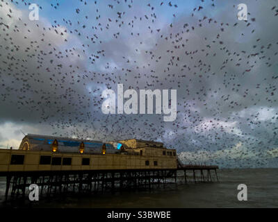 Aberystwyth, Galles occidentale, Regno Unito. Giovedì 17 dicembre 2020. Notizie: Una mostra spettacolare come migliaia di stelle esplodono fuori in un mormuration dal molo. Credito fotografico ©️ Rose Voon / Alamy Live News. Foto Stock