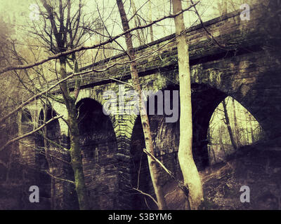 Abbandonato viadotto ferroviario Lobb Ghyll sulla Skipton a Ilkley Linea a Bolton Abbey North Yorkshire Foto Stock