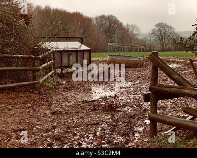 Inverno sulla fattoria, un campo fangoso e l'alimentatore di bestiame in un campo acquedotto in Somerset, Inghilterra, Gran Bretagna Foto Stock