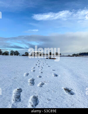 Passeggiate invernali Foto Stock