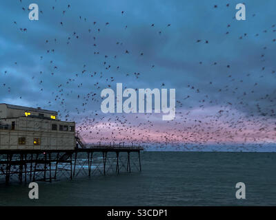 Aberystwyth, Galles occidentale, Regno Unito. Lunedì 11 Gennaio 2021. Meteo: All'alba, migliaia di stelle riempiono il cielo di Aberystwyth. Credito fotografico ©️ Rose Voon / Alamy Live News. Foto Stock