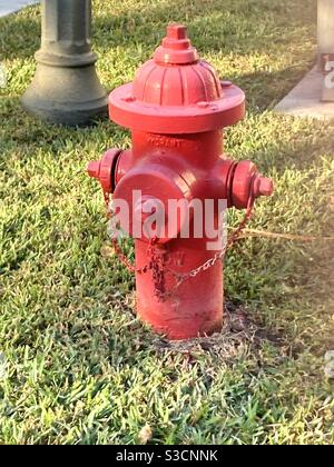 Un'immagine di un idrante antincendio rosso in erba Foto Stock