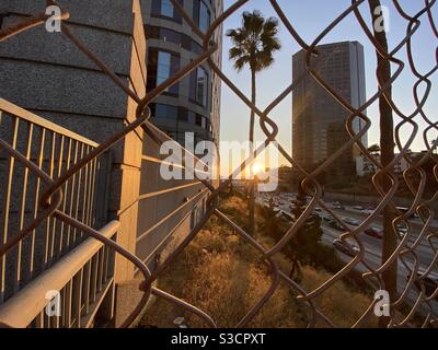LOS ANGELES, CA, NOVEMBRE 2020: Guardando attraverso la recinzione a catena al traffico della superstrada, vicino al Wedbush Building, mentre il sole tramonta sul centro città Foto Stock