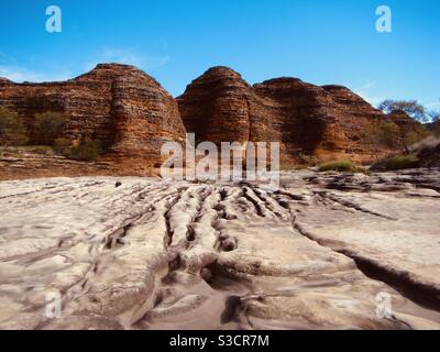 Pasticciare la giungla cupole alveare guardando lungo un letto di fiume asciutto Kimberley, Australia occidentale Foto Stock