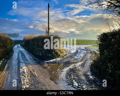 Inverno in una corsia di campagna, Galles del Sud, gennaio. Foto Stock